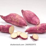 西港娱乐平台的多样化游戏选择与用户体验分析 03e0av