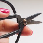 CCTV1综合频道高清天天直播在线观看 3o4pg6