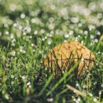 虎牌平台的未来发展趋势与行业影响力展望 gabm2x9wv