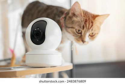 解锁四季娱乐平台网址的安全入口与使用技巧