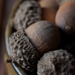 CCTV1综合频道每日最新电视节目直播时间表 nfudo