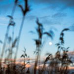 蚂蚁娱乐网址使用攻略与账户安全保护全方位指南 t1os0