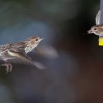 CCTV15音乐频道高清直播——经典与流行音乐盛宴实时放送 v1gpy6f