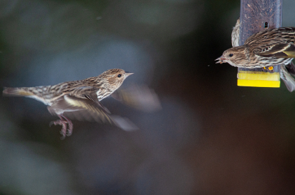 CCTV15音乐频道高清直播——经典与流行音乐盛宴实时放送