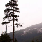 《我要上春晚》现场直播盛大开启,精彩不容错过! 1b6rg