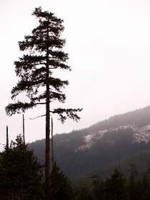 《我要上春晚》现场直播盛大开启,精彩不容错过! 《我要上春晚》现场直播盛大开启,精彩不容错过!