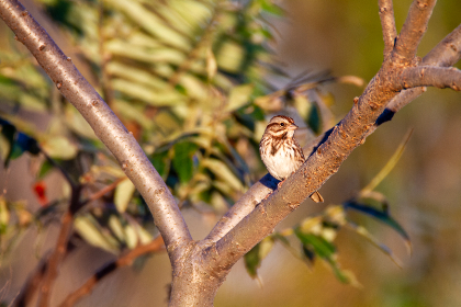 《我们相爱吧》甜蜜直播在线观看,浪漫互动不容错过 《我们相爱吧》甜蜜直播在线观看,浪漫互动不容错过