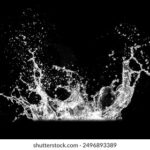 《快乐大本营》湖南卫视每周六晚精彩直播 9xddnlmm