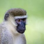 《快乐大本营》高清在线直播完整版免费观看 po9804ra