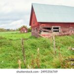 《快乐大本营》高清直播在线观看与回放平台 rre2d