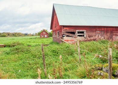 《快乐大本营》高清直播在线观看与回放平台 《快乐大本营》高清直播在线观看与回放平台